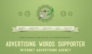 adwords-destek